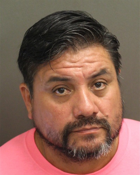 Booking photograph for ALEJANDRO LINARESHERNANDEZ