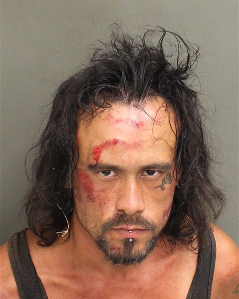 Booking photograph for DUSTIN BERNNEL LEIJA