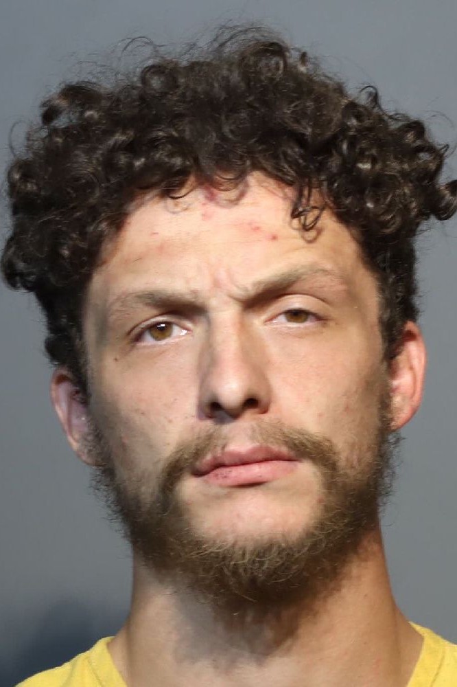 Booking photograph for DANTEJANO GASHI