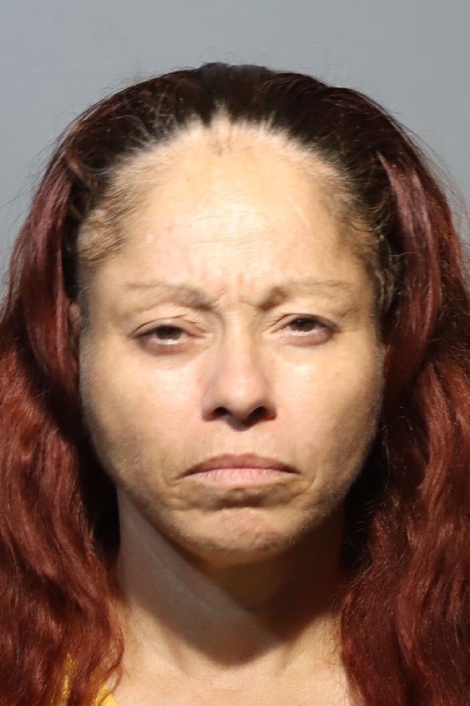 Booking photograph for ROXANA CASTRO