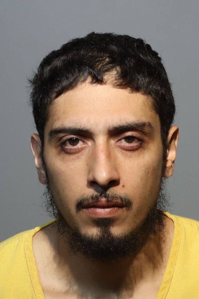 Booking photograph for PRATTS LOUIS AARON ROSA
