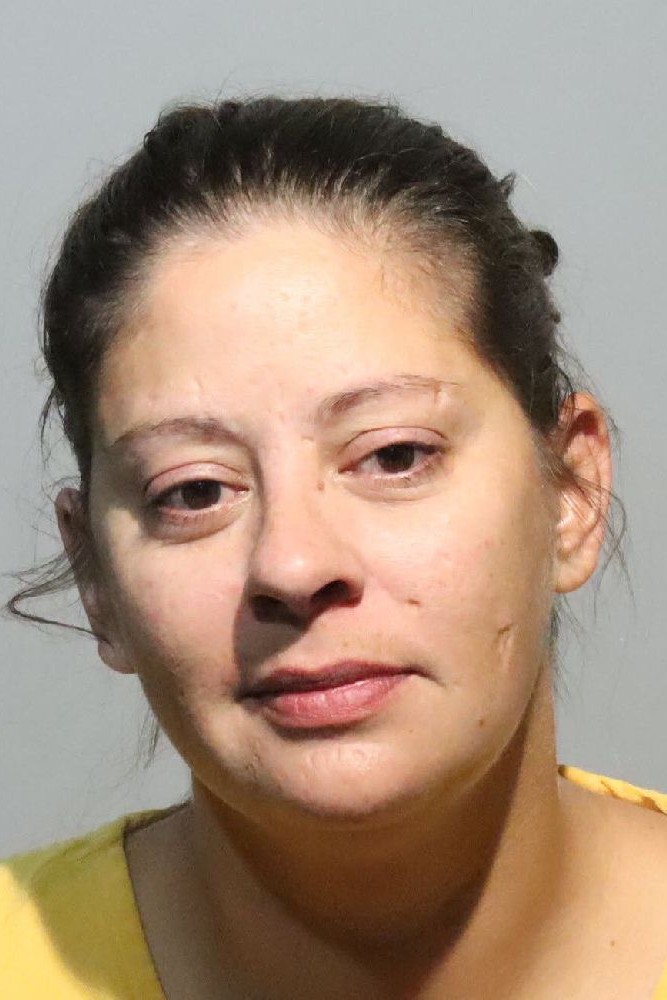 Booking photograph for HEATHER HOOVER