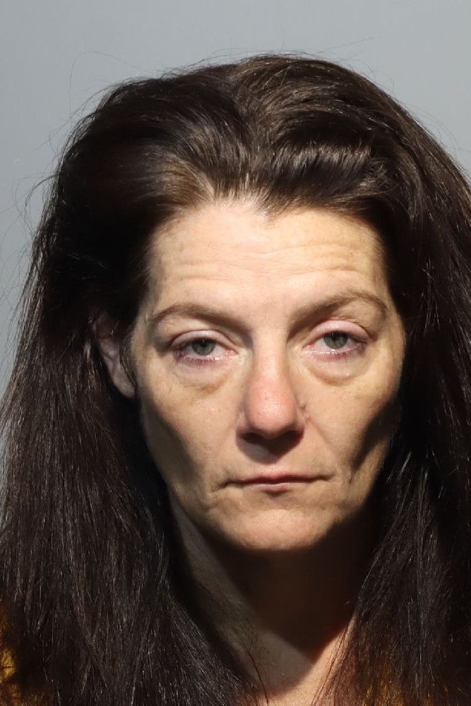 Booking photograph for TINA CAROLYN KINNAIRD