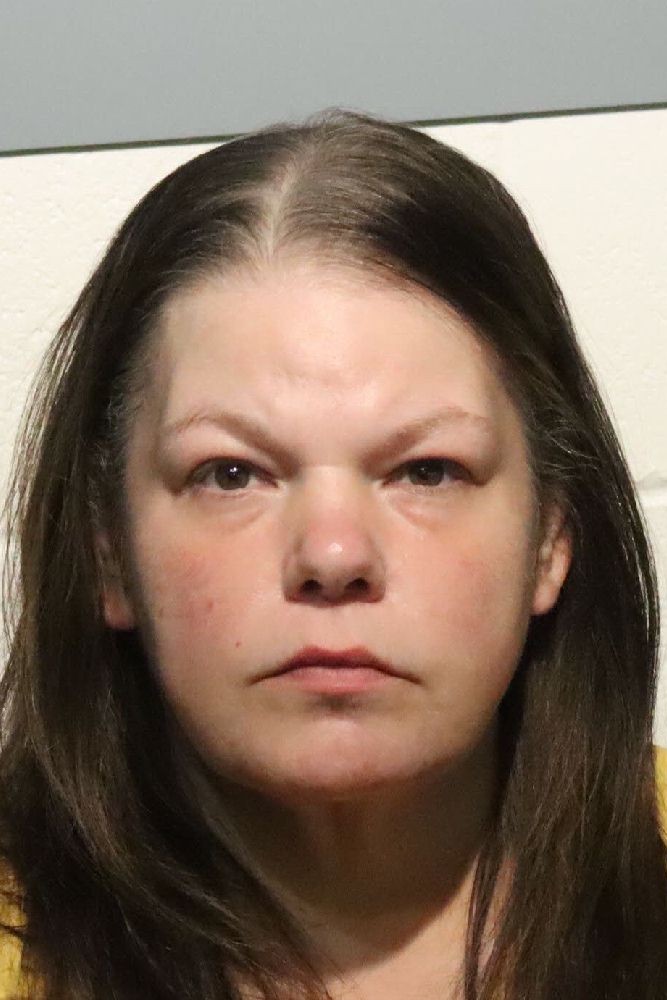 Booking photograph for ERIN WHIPPLE