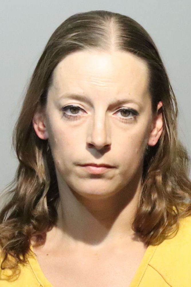 Booking photograph for MEREDITH HENKE