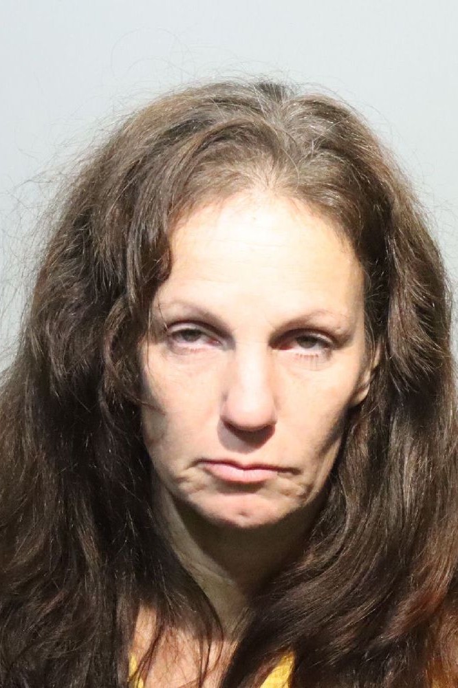 Booking photograph for AUDRA WELLS