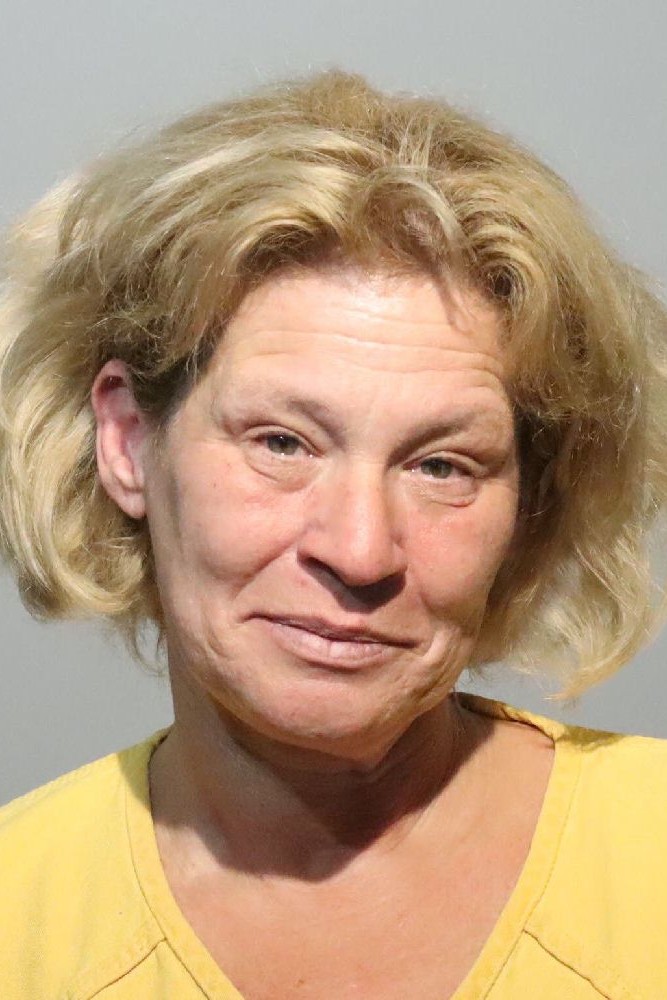 Booking photograph for DINA RODRIGUEZ