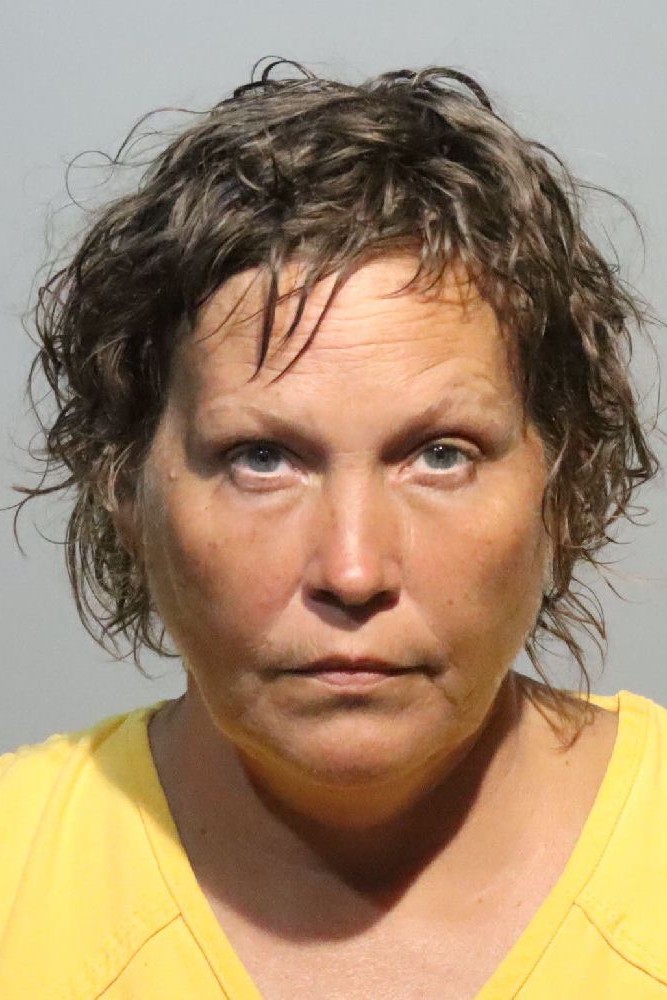 Booking photograph for WANDA LEAH PONZO