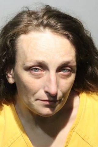 Booking photograph for SARAH ELIZABETH ALBRIGHT