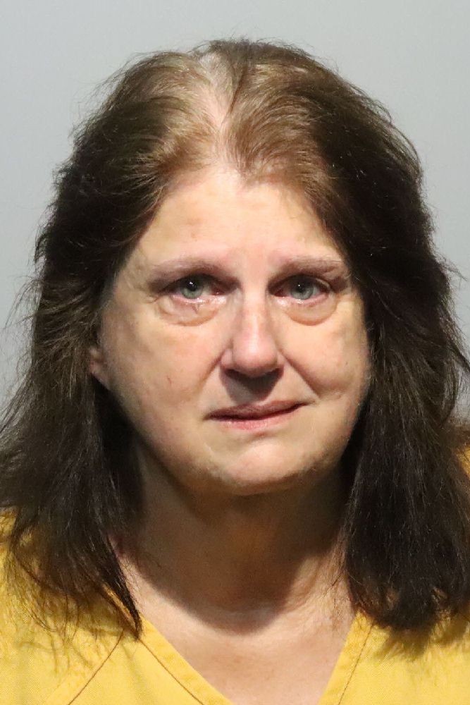 Booking photograph for DONNA JOHNSON GOPANI