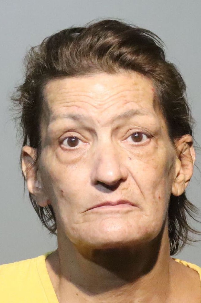 Booking photograph for PAMELA MARGARET FLORIAN