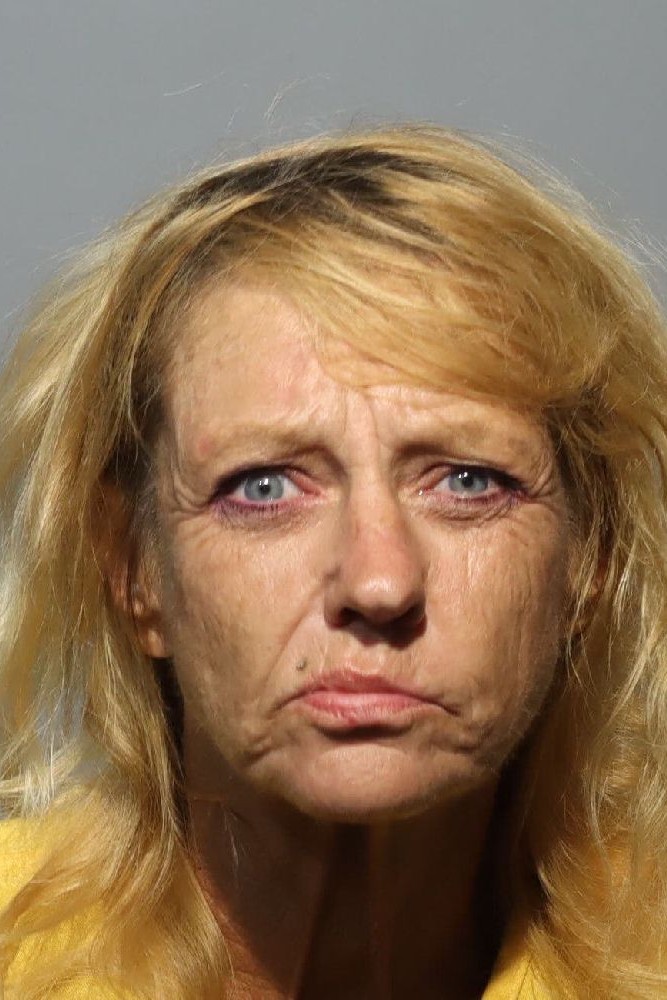 Booking photograph for ROBIN RENEE DEEL