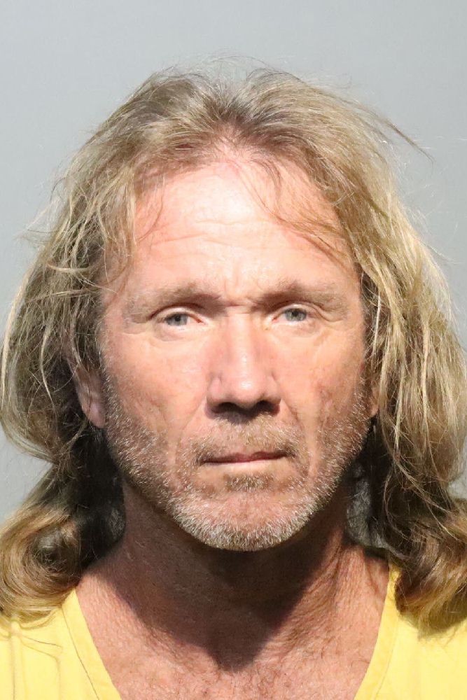 Booking photograph for WAYNE PERRY