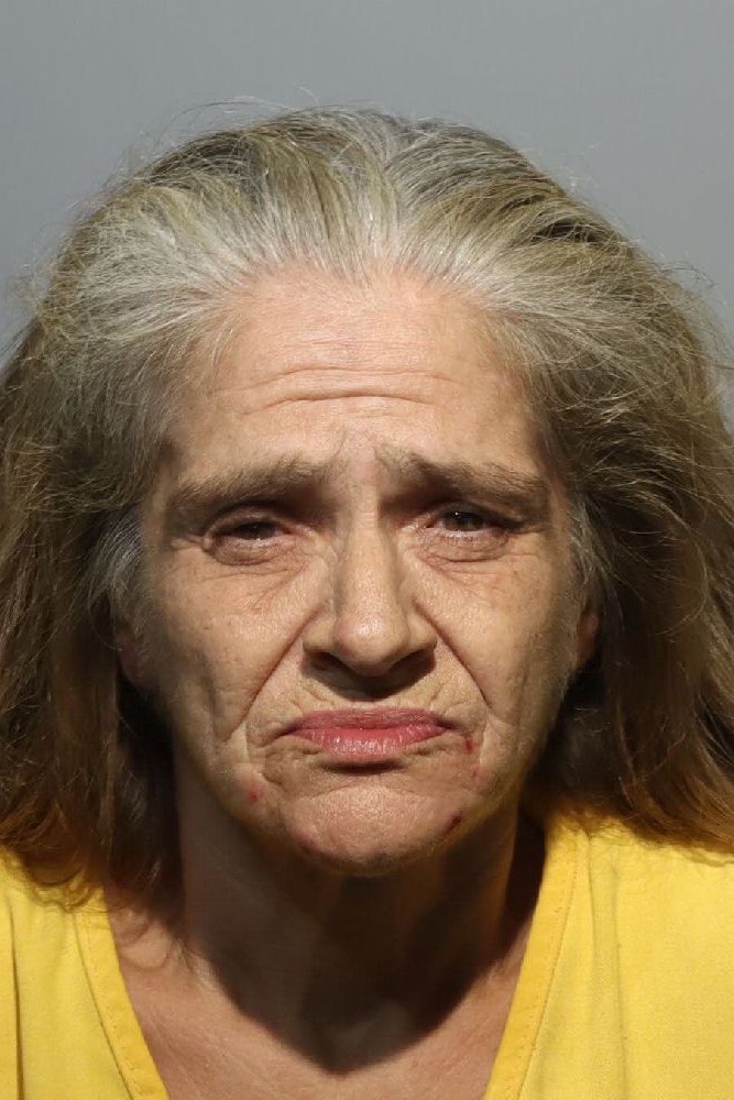 Booking photograph for LISA CICHY