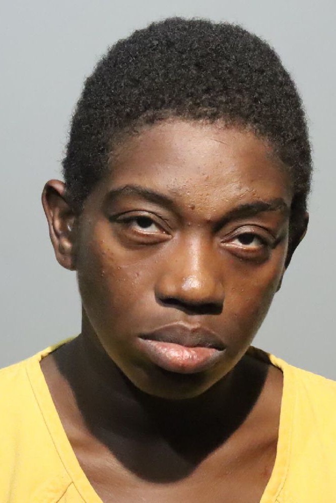 Booking photograph for ILEANNA FIELDS