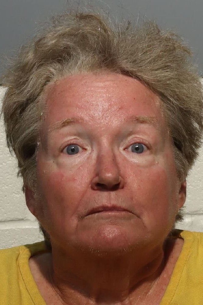 Booking photograph for DONNA FAY PHILLIPS