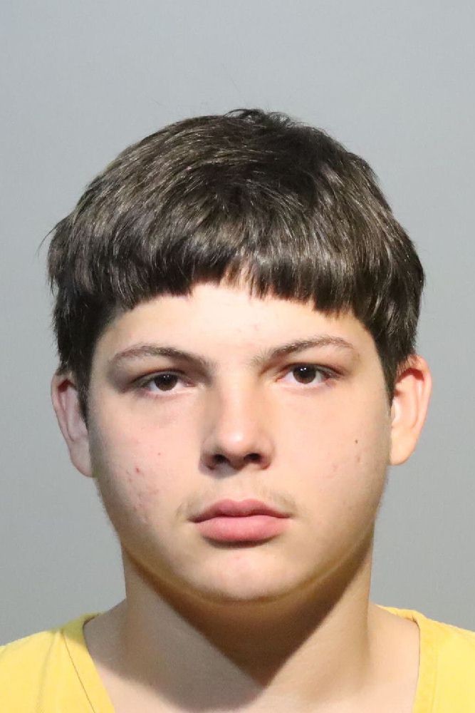Booking photograph for MARK NELSON