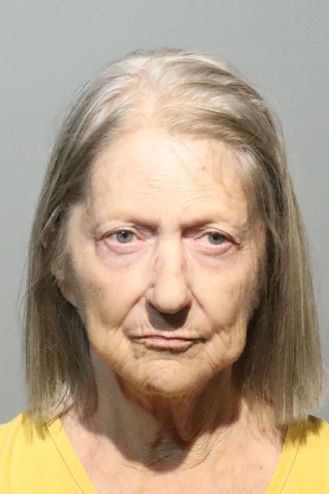 Booking photograph for LOU ANNE LANGLEY