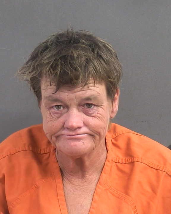 Booking photograph for VERONICA LYNN JOHNSON