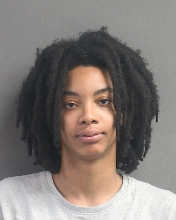 Booking photograph for LYNESIA BIRDIE DORSEY