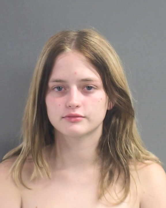 Booking photograph for IVY ELIZABETH SCHUCK