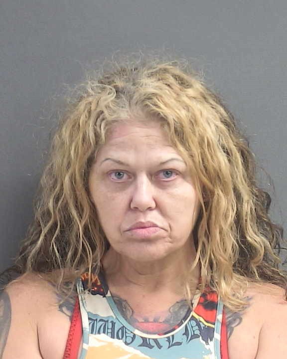 Booking photograph for KRISTI ASHLEY WILSON