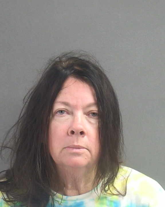 Booking photograph for JOY LYNN GERLAK