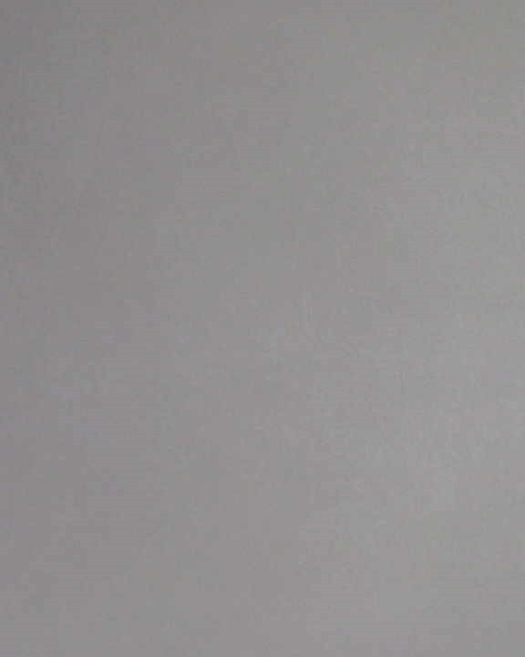 Booking photograph for SARA JEAN GILSON