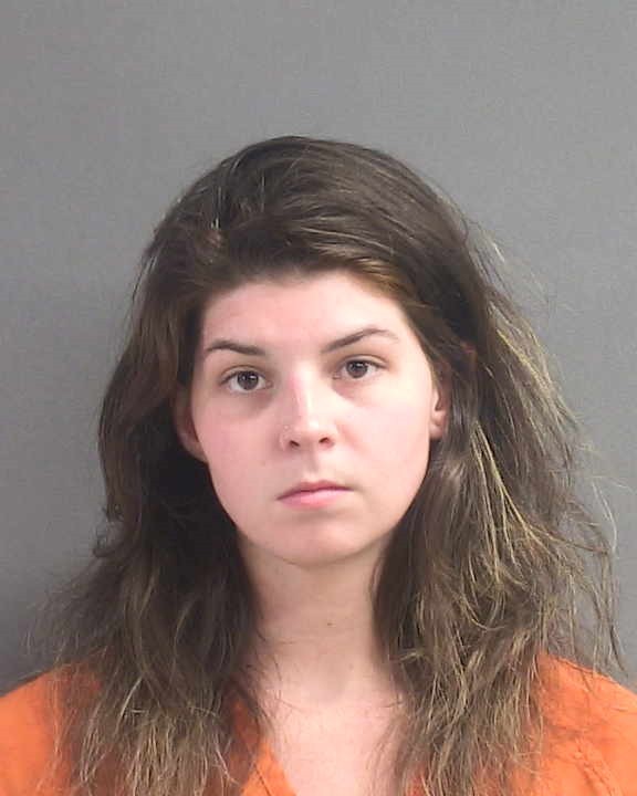 Booking photograph for ASHLYN ROSE DINNAN-FANELLI