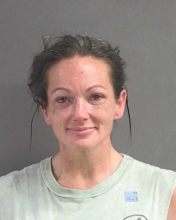 Booking photograph for RANDALYNN GRACE TREFFILETTI