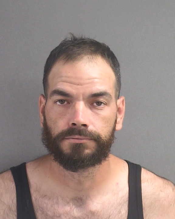 Booking photograph for NATHAN VAUGHN HALLOCK