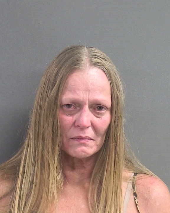 Booking photograph for TERESA MARIE LONGWELL