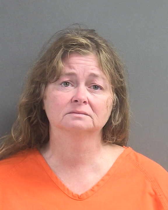 Booking photograph for TERRI L SMITH