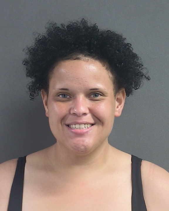 Booking photograph for SARA ANN MANDER