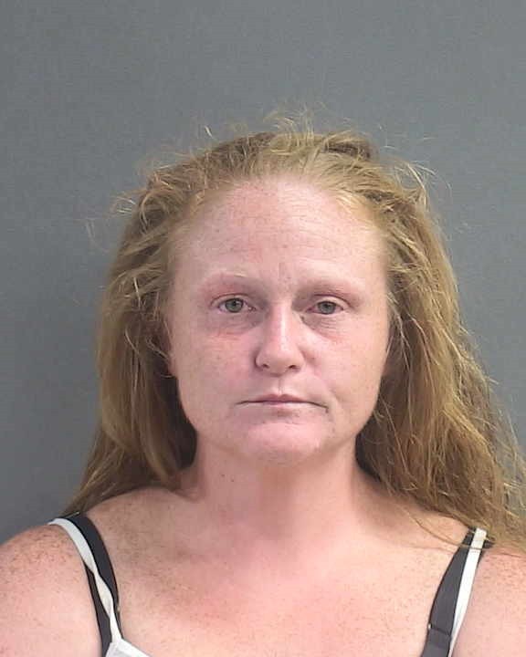 Booking photograph for KRISTA NICOLE HARTIGAN