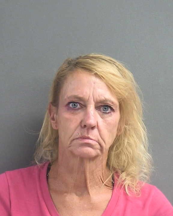 Booking photograph for ROBIN RENEE DEEL