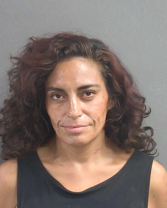 Booking photograph for GIANNINA DRYSCH