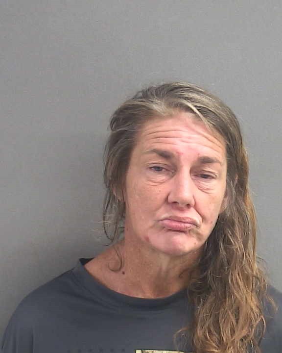 Booking photograph for ERICA MARIE LEWELLYN