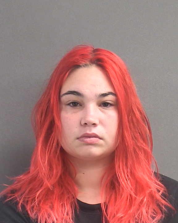 Booking photograph for LILLIAN L SMITH