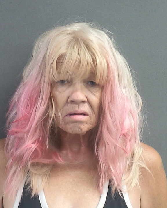 Booking photograph for HELEN IRENE JEAN PRENETA