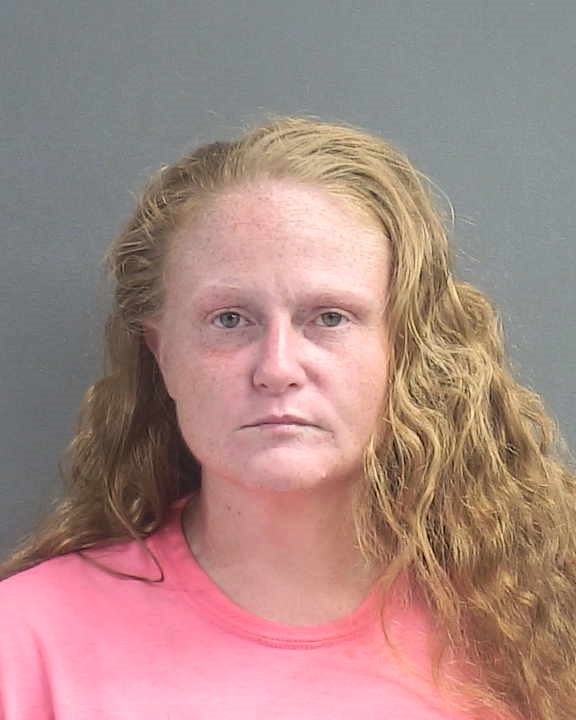 Booking photograph for KRISTA NICOLE HARTIGAN
