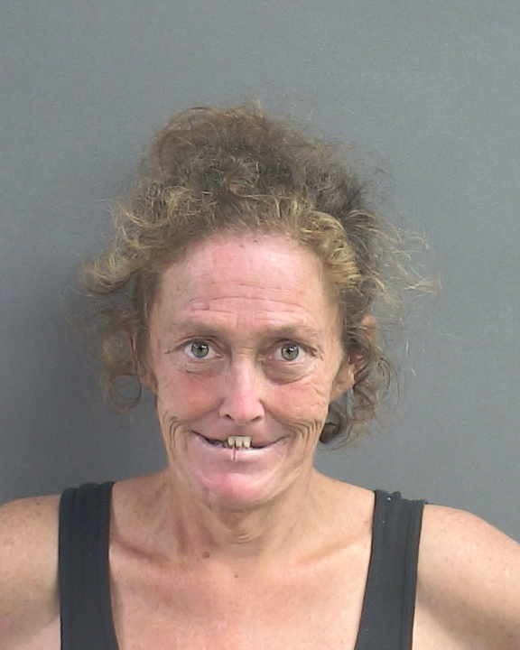 Booking photograph for CHANDRA V NICIU