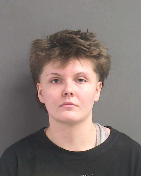 Booking photograph for ARIANNA ANN BRINK-WHITMAN