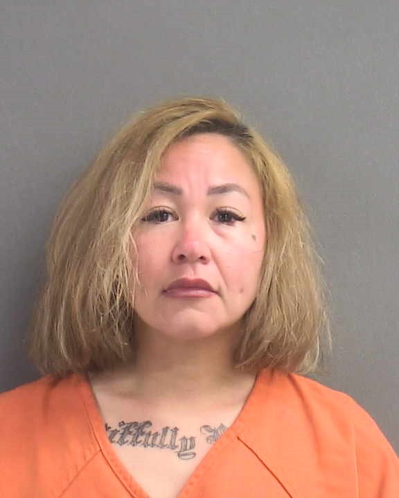 Booking photograph for ROXANNE PANIKA HOLT