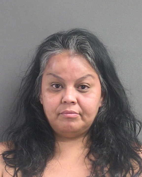 Booking photograph for CECILIA ALVAREZ