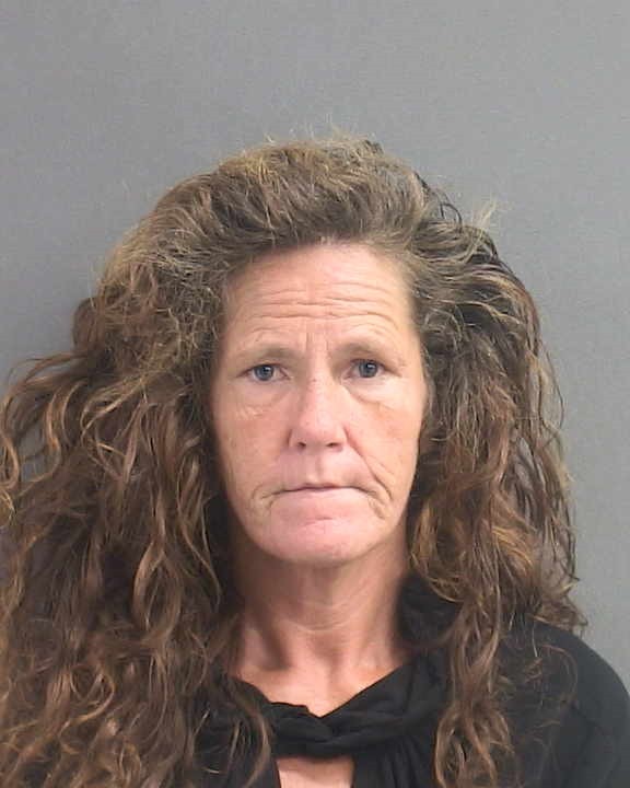 Booking photograph for GREGG VICKIE LYNN MCGEE