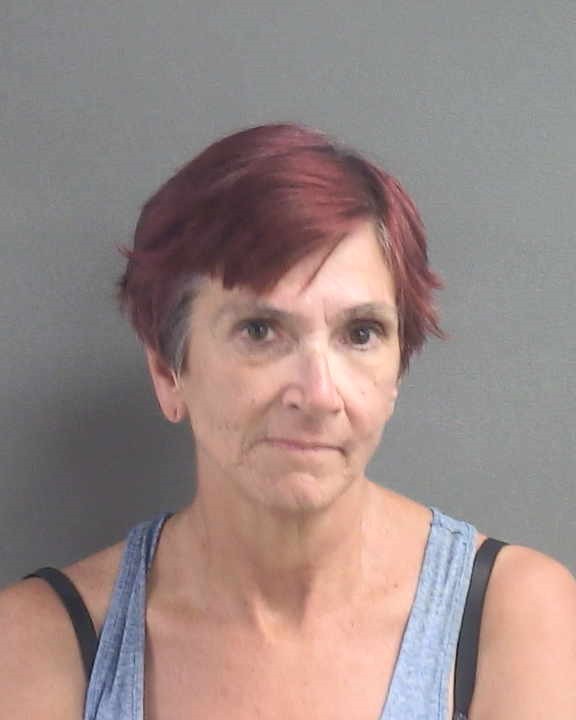 Booking photograph for SHANNON MICHELE JENKINS