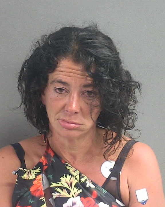 Booking photograph for AMY MARIE ALLESSANDRO