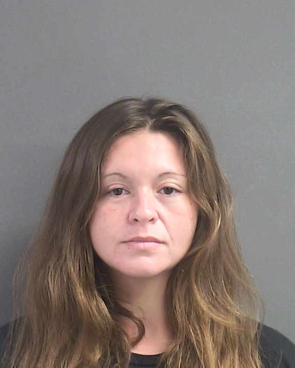 Booking photograph for SEDAR MARIE LYNG