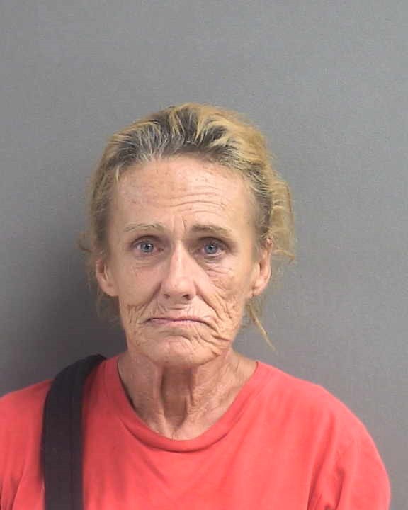 Booking photograph for SHANNON KATHLLINE DAVIS